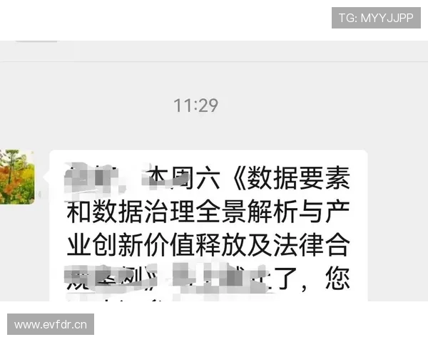 国家队赛事进展全景解析聚焦关键战役与阶段性成果未来走势研判